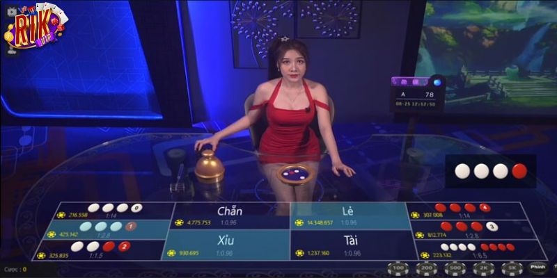 Xóc đĩa livestream